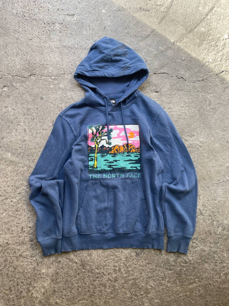 TNF Hoodie – Blue (S)
