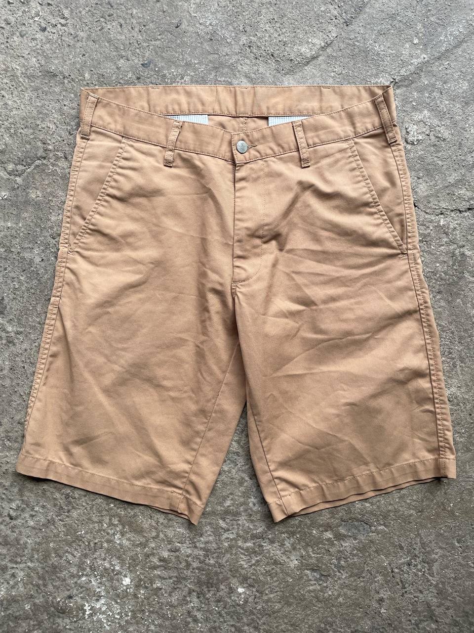 Carhartt WIP Shorts (32)