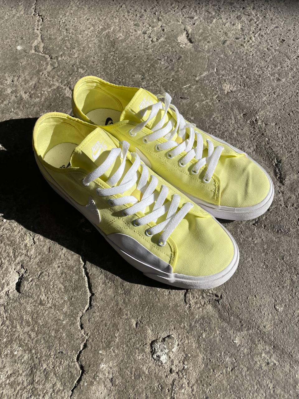 Nike SB Sneakers (US 10)