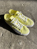 Nike SB Sneakers (US 10)