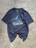 Carhartt T-Shirt (S, fits M)
