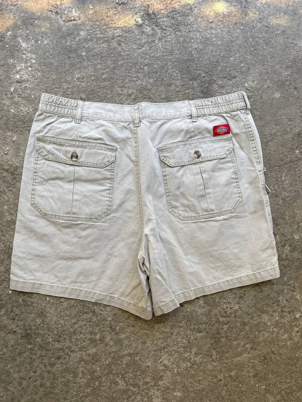 Dickies Shorts (38)