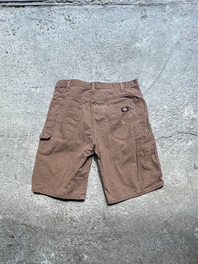 Dickies Shorts (34)