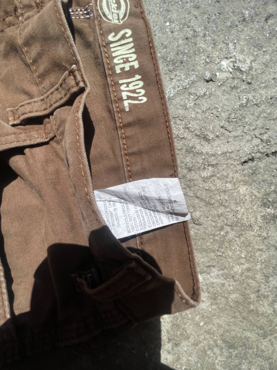 Dickies Shorts (34)