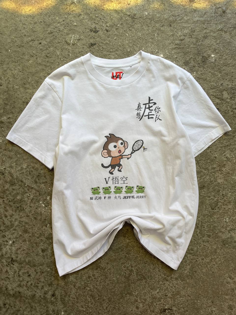 Uniqlo T-Shirt (M)
