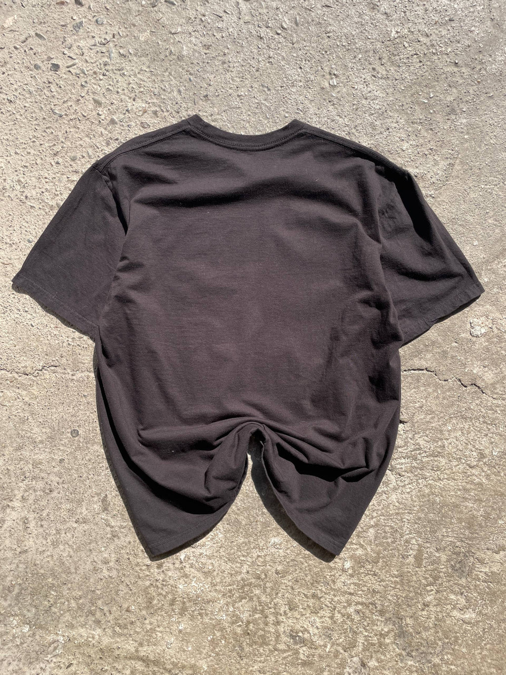 Merch T-Shirt (L)
