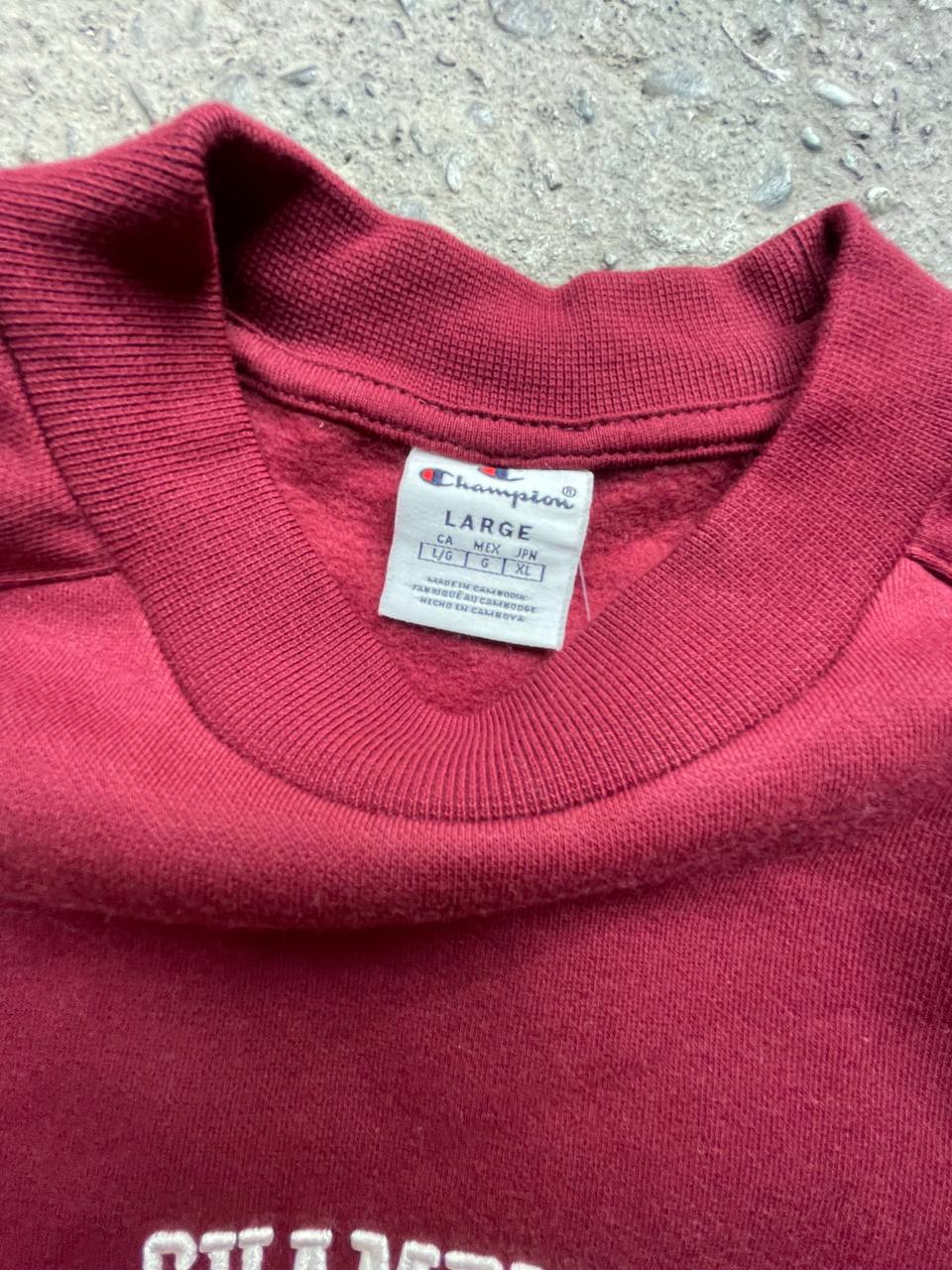 Champion Sweatshirt (L)