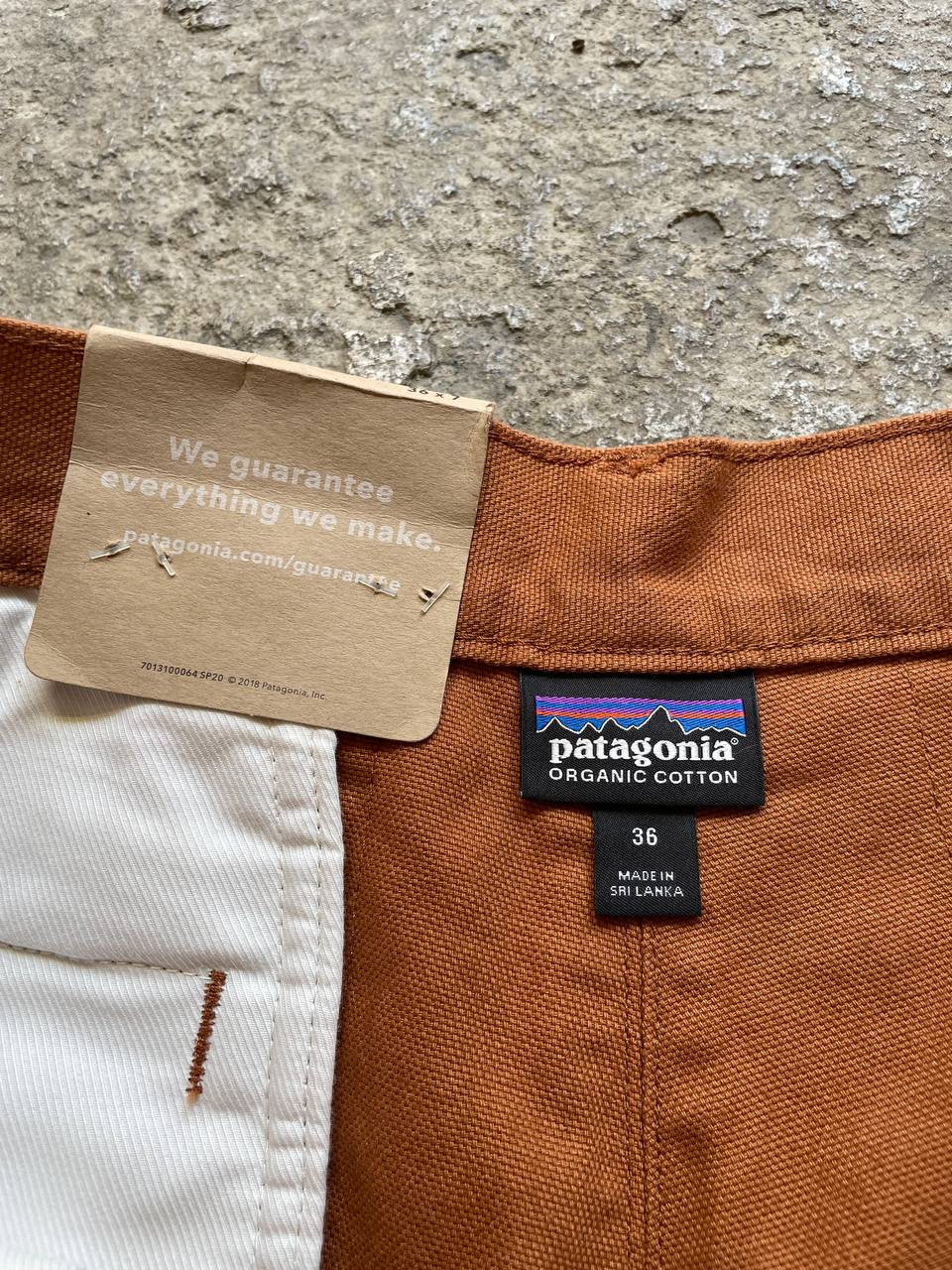 Patagonia Shorts (36)