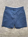 Dickies Shorts (34)
