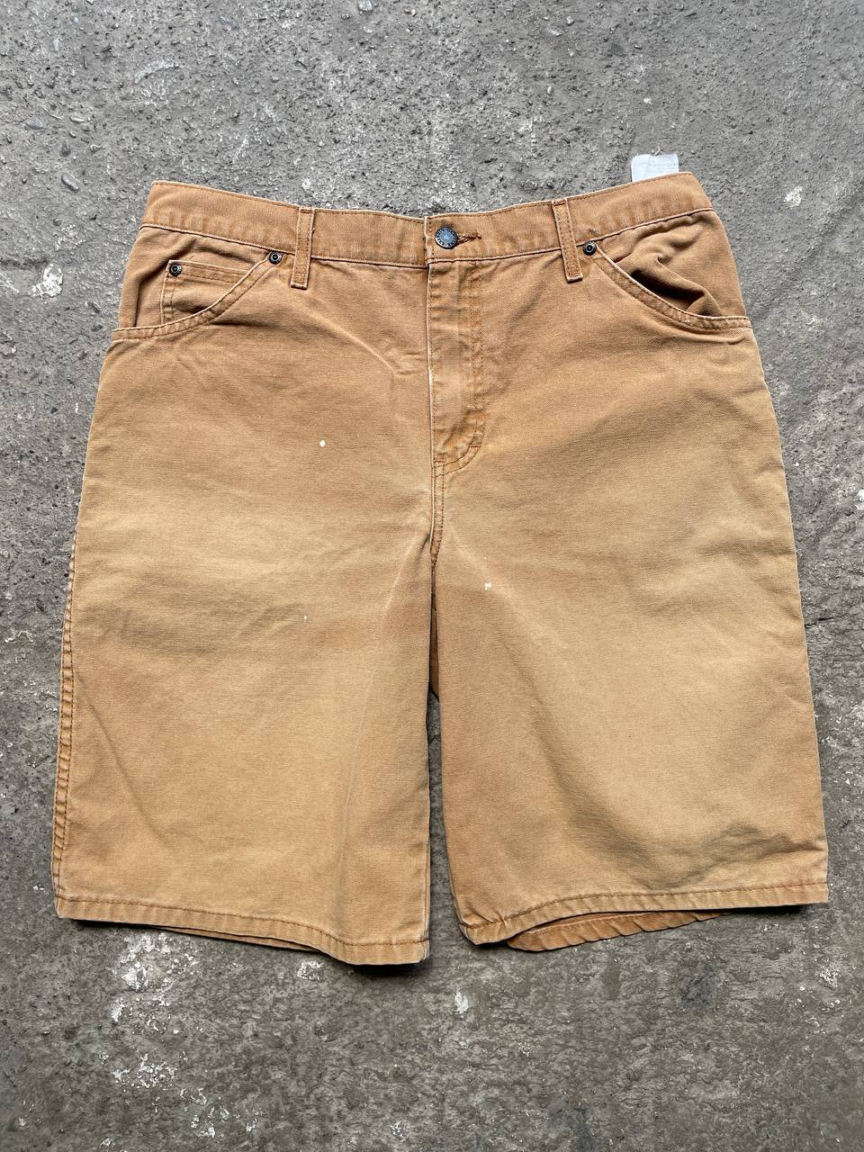 Dickies Shorts (32)